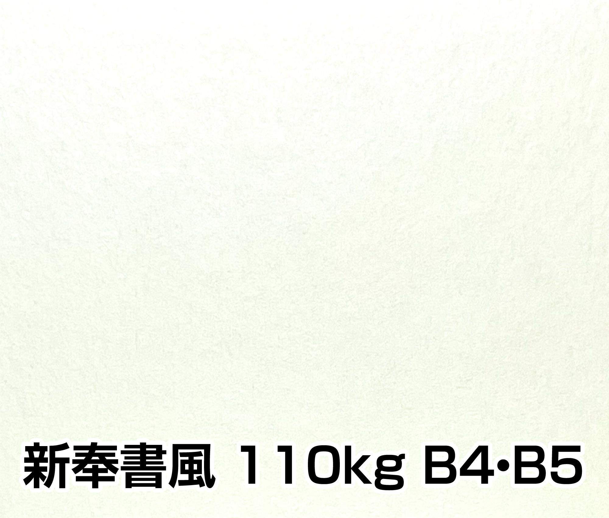 新奉書風 110kg A3/A4/B4/B5